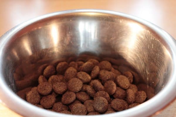 food bowl, fressnapf, dog food